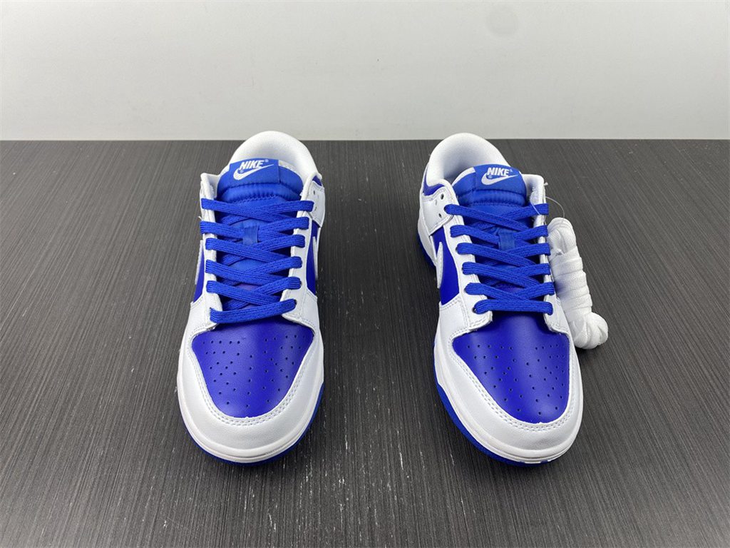 Nike Dunk Low DD1391-104